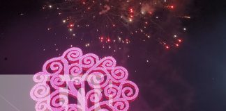 Foto: Condega celebra la paz y productividad con su nuevo Árbol de la Vida/TN8