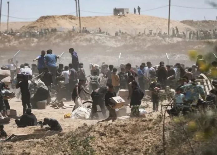 Foto: Cuerpos aún sin rescatar en Gaza /cortesía Foto: Cuerpos aún sin rescatar en Gaza /cortesía