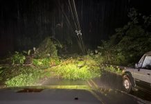 Costa Rica bajo alerta amarilla por intensas y persistentes lluvias Foto: Emergencias por lluvias en Costa Rica /cortesía