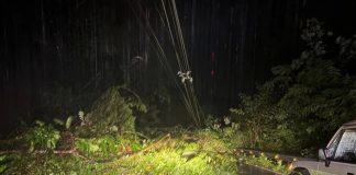 Foto: Emergencias por lluvias en Costa Rica /cortesía