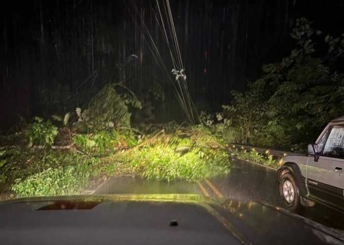 Foto: Emergencias por lluvias en Costa Rica /cortesía Foto: Emergencias por lluvias en Costa Rica /cortesía