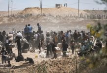 Foto: Horror en Gaza /cortesía