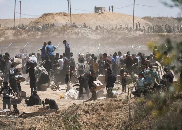 Foto: Horror en Gaza /cortesía Foto: Horror en Gaza /cortesía