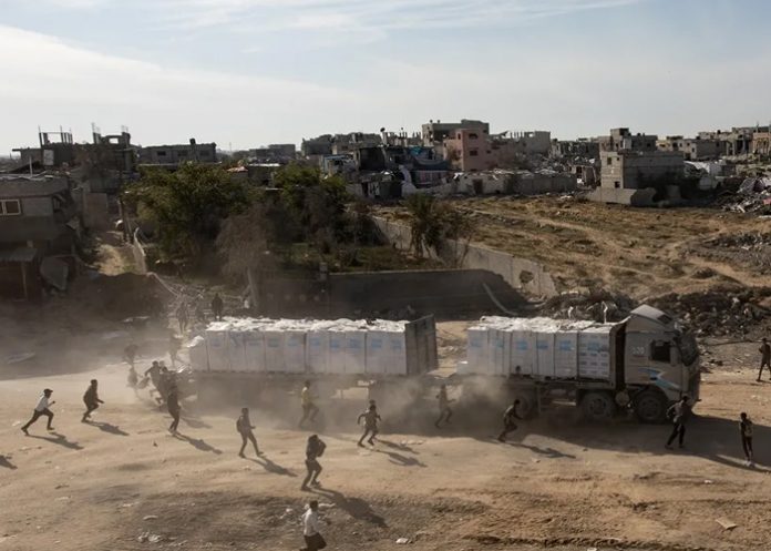 Foto: Masacre en Gaza /cortesía