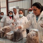 Moringa impulsa el emprendimiento: más de 2,000 capacitados en transformación productiva