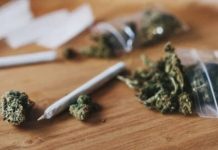 Estudio revela: La marihuana puede matarte del corazón Foto: Marihuana y corazón: Riesgos mortales bajo la lupa científica/Cortesía