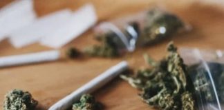 Foto: Marihuana y corazón: Riesgos mortales bajo la lupa científica/Cortesía