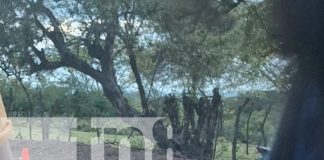 Foto: Misterioso asesinato en Chinandega: hombre es hallado sin vida / TN8