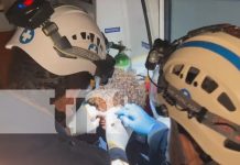 Joven es brutalmente agredido por varios sujetos en Villa Sandino, Estelí Foto: Joven es brutalmente agredido por varios sujetos en Villa Sandino, Estelí/TN8