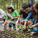 Manos jóvenes, corazones verdes: El Arboretum renace en Managua Foto: Manos jóvenes, corazones verdes: El Arboretum renace en Managua / TN8