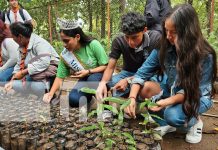 Foto: Manos jóvenes, corazones verdes: El Arboretum renace en Managua / TN8