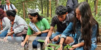 Foto: Manos jóvenes, corazones verdes: El Arboretum renace en Managua / TN8
