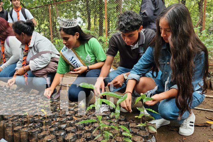 1 Foto: Manos jóvenes, corazones verdes: El Arboretum renace en Managua / TN8