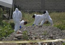 Descubren fosa clandestina con 34 cadáveres en el occidente de México Foto: Localizan 34 cadáveres en fosa clandestina de México /Cortesía