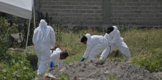 Foto: Localizan 34 cadáveres en fosa clandestina de México /Cortesía