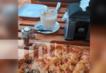 Pizzeria Libélula, brilla con su amplia oferta gastronómica en Ometepe Foto: Pizzeria Libélula, brilla con su amplia oferta gastronómica en Ometepe/TN8