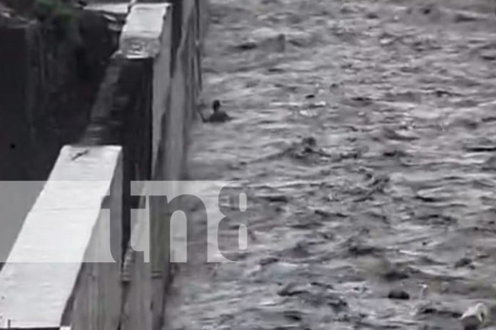 Foto: Rescatan con vida a un joven que cayó en las fuertes corrientes del sector La Robelo/TN8