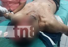 Grave accidente en Estelí: al menos 8 afectados, un fallecido y un semoviente muerto Foto: Grave accidente en Estelí: al menos 8 afectados, un fallecido y un semoviente muerto/TN8