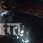 Camión con ganado cae a un abismo en Matagalpa-Waslala: 11 reses muertas Foto: 50% del ganado muere en accidente en carretera Matagalpa-Waslala/TN8