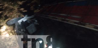 Foto: 50% del ganado muere en accidente en carretera Matagalpa-Waslala/TN8