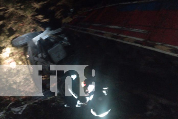 Foto:  50% del ganado muere en accidente en carretera Matagalpa-Waslala/TN8 Foto: 50% del ganado muere en accidente en carretera Matagalpa-Waslala/TN8