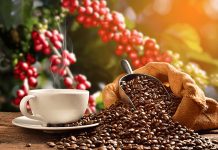 Honduras rompe récord con $1,633 millones por café exportado Honduras lidera exportaciones de café en Centroamérica