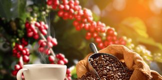 Honduras lidera exportaciones de café en Centroamérica