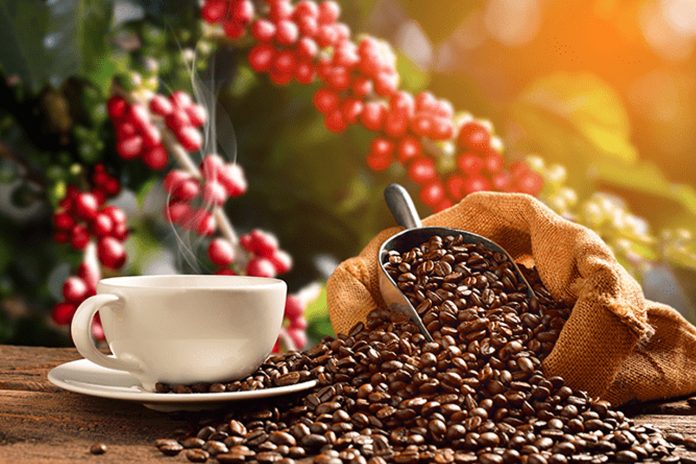 2 Honduras lidera exportaciones de café en Centroamérica