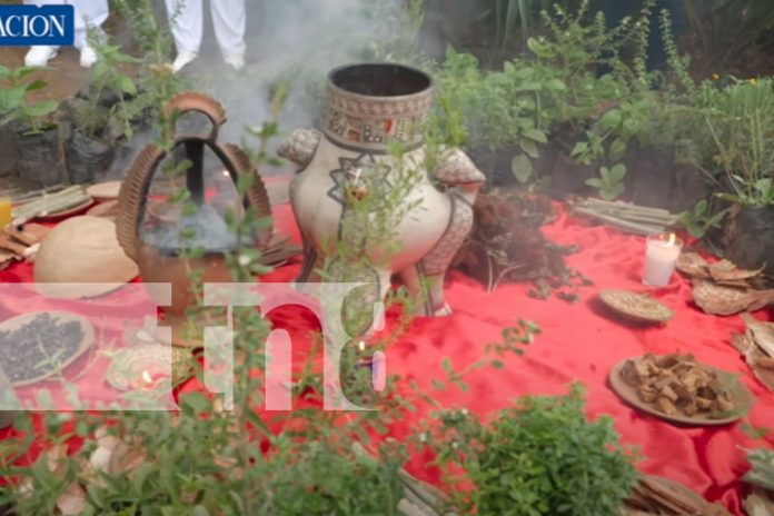 Foto: ¡Con ley en mano! Nicaragua lidera en Centroamérica el reconocimiento de medicina natural/TN8