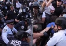 Crece el caos y la violencia entre manifestantes y la policía de Nueva York Foto: Detenciones marcan las protestas en Nueva York /Cortesía