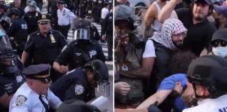 Foto: Detenciones marcan las protestas en Nueva York /Cortesía