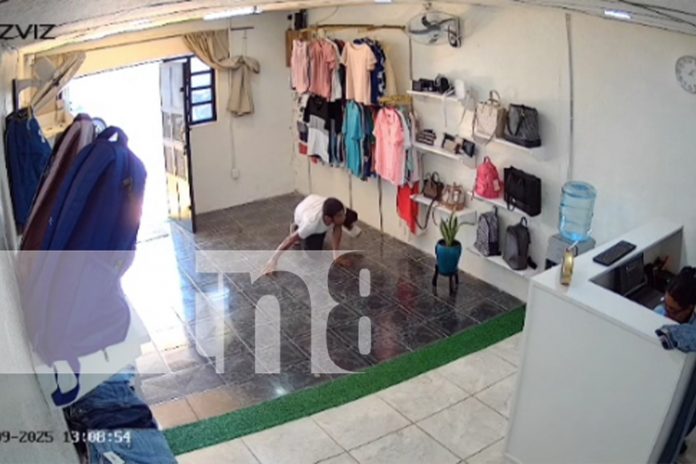 Foto: El que parpadea pierde: Robo descarado en barrio Altagracia /TN8 Foto: El que parpadea pierde: Robo descarado en barrio Altagracia /TN8