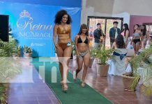 Matagalpa cierra con broche de oro el último casting departamental de “Reinas Nicaragua” Foto: Matagalpa cierra con broche de oro el último casting departamental de “Reinas Nicaragua”/TN8