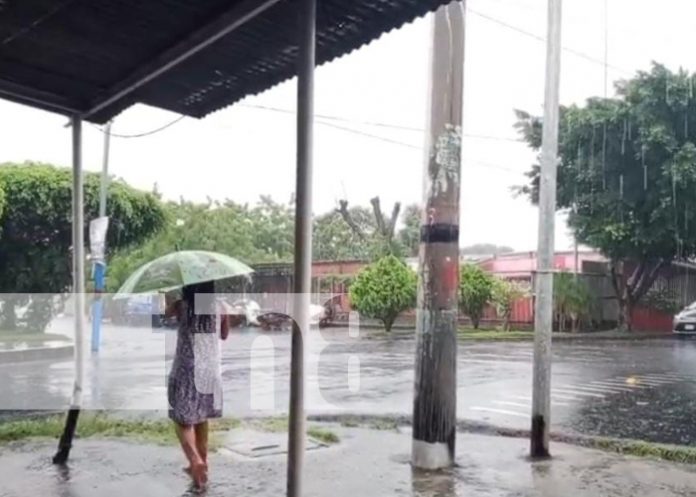 Foto: Fuertes vientos y oleajes /TN8
