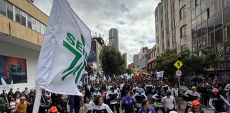 Foto: Senado de Colombia avala artículo clave /cortesía