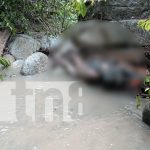 Hallan cuerpo sin vida de adulto mayor desaparecido en La Esperanza, Jalapa Foto: Hallan cuerpo sin vida de adulto mayor desaparecido en La Esperanza, Jalapa/TN8
