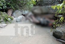 Hallan cuerpo sin vida de adulto mayor desaparecido en La Esperanza, Jalapa Foto: Hallan cuerpo sin vida de adulto mayor desaparecido en La Esperanza, Jalapa/TN8