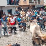 ¡Boaco de fiesta! Soltura de toros y cultura marcan el inicio de las Fiestas Patronales 2025 Foto: ¡Boaco de fiesta! Soltura de toros y cultura marcan el inicio de las Fiestas Patronales 2025/TN8
