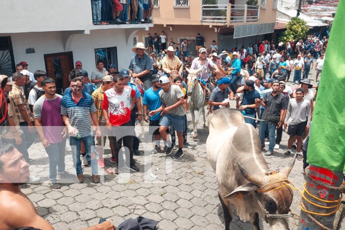 2 Foto: ¡Boaco de fiesta! Soltura de toros y cultura marcan el inicio de las Fiestas Patronales 2025/TN8