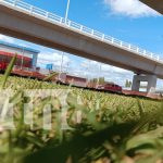 ¡Se ve de lujo! Ornamentan tramo IV de la nueva gran pista de Managua Foto: La Robelo en Managua, florece con grama, diseño y futuro/TN8