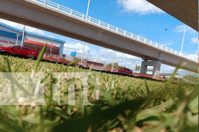 Foto: La Robelo en Managua, florece con grama, diseño y futuro/TN8 Foto: La Robelo en Managua, florece con grama, diseño y futuro/TN8