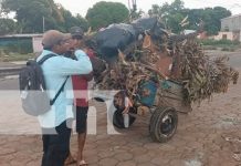 Foto: Alcaldía de Managua sanciona con firmeza el depósito ilegal de basura/TN8