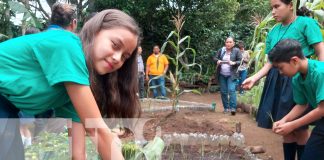 Foto: Huertos escolares, una exitosa estrategia educativa desde las aulas de clases en Madriz/TN8