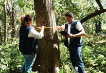 Foto:Tercer ciclo del Inventario Nacional Forestal en marcha/Cortesía