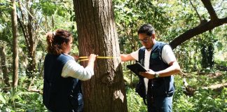 Foto:Tercer ciclo del Inventario Nacional Forestal en marcha/Cortesía