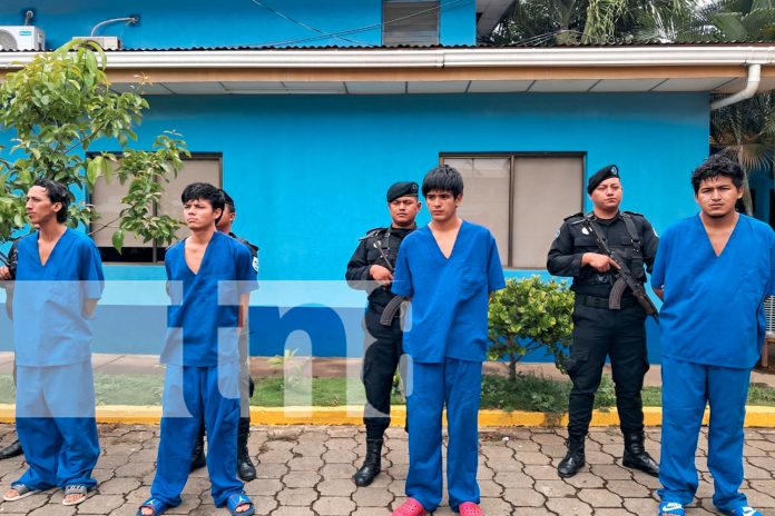 Foto:Operativo exitoso deja 12 detenidos y droga incautada en Masaya/TN8