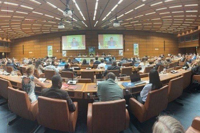 3 Foto: Naciones Unidas urge más prevención en tema de drogas/Cortesía