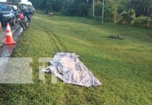 Peatón muere brutalmente arrollado y motociclista queda grave en Rivas Foto: Accidente mortal en Rivas/TN8