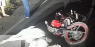 Foto: Motociclista muere al chocar contra un semoviente en la carretera vieja a León/TN8