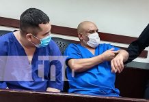 Más escrituras falsas y declaraciones en el juicio de estafadores «Los Mendoza» Foto: "Los Mendoza" vendían vehículos alquilados con escrituras falsas /TN8